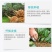 寿光生根粉微生物肥强力速生根生根养根护根改善土壤平衡