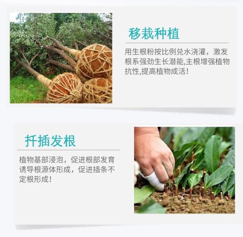 寿光生根粉微生物肥强力速生根生根养根护根改善土壤平衡