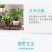 寿光生根粉微生物肥强力速生根生根养根护根改善土壤平衡