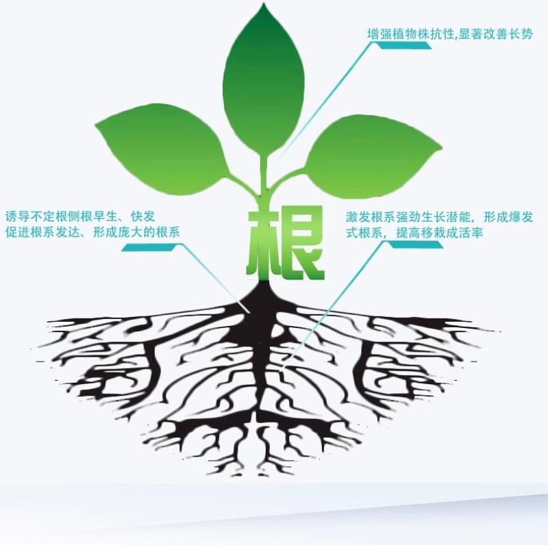 寿光生根粉微生物肥强力速生根生根养根护根改善土壤平衡