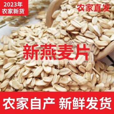 生燕麦片原味麦片俄罗斯燕麦片，厂家一手货源，欢迎致电详谈
