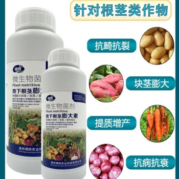 寿光珺颜地下根茎膨大素快速膨大茎秆粗壮山药马铃薯葱姜蒜等