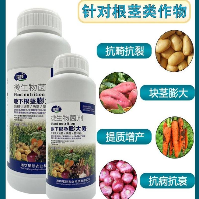 寿光珺颜地下根茎膨大素快速膨大茎秆粗壮山药马铃薯葱姜蒜等