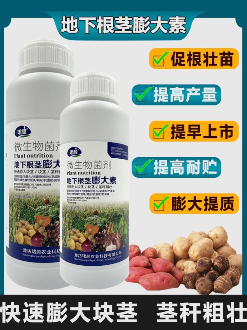 寿光珺颜地下根茎膨大素快速膨大茎秆粗壮山药马铃薯葱姜蒜等