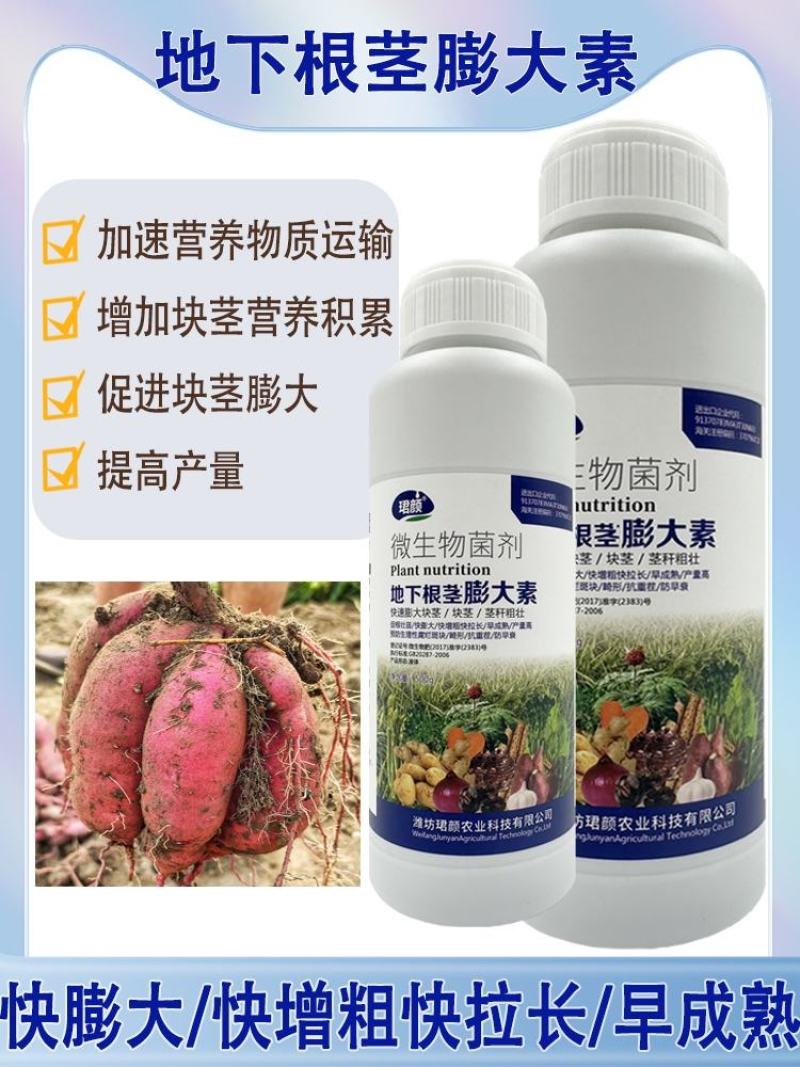 寿光珺颜地下根茎膨大素快速膨大茎秆粗壮山药马铃薯葱姜蒜等