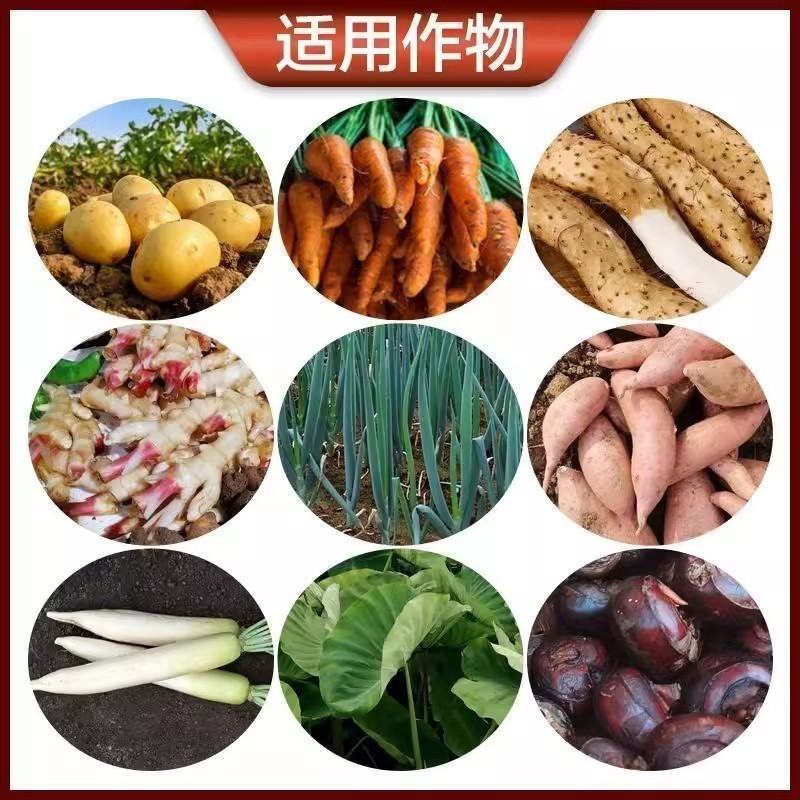 寿光珺颜地下根茎膨大素快速膨大茎秆粗壮山药马铃薯葱姜蒜等