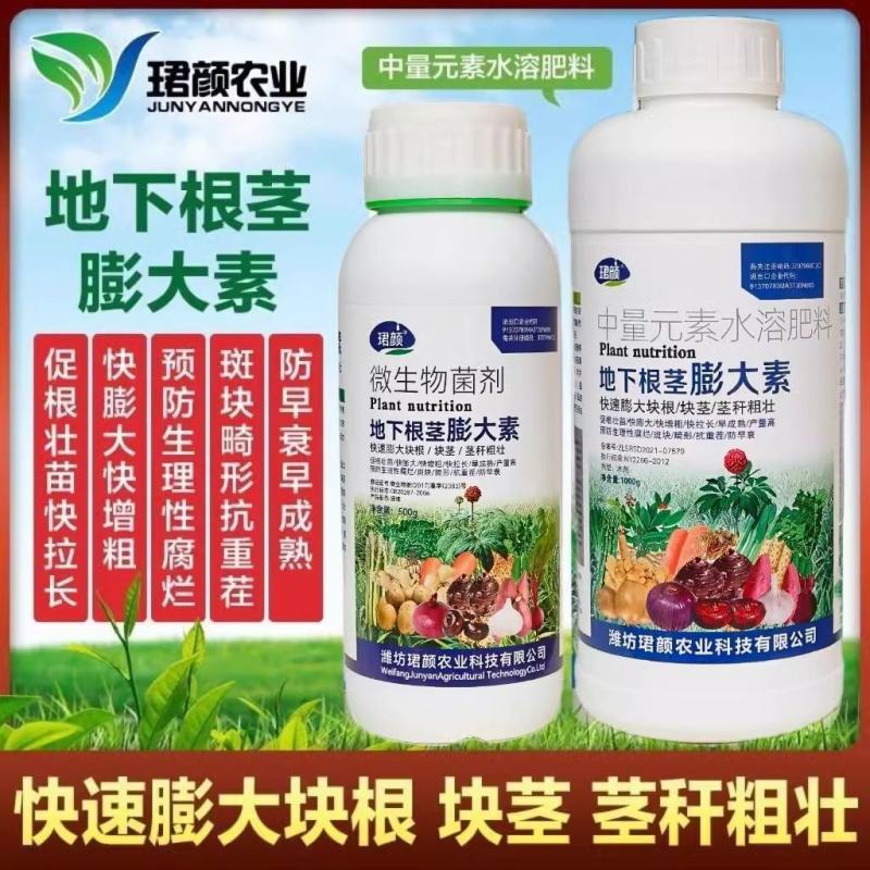 寿光珺颜地下根茎膨大素快速膨大茎秆粗壮山药马铃薯葱姜蒜等