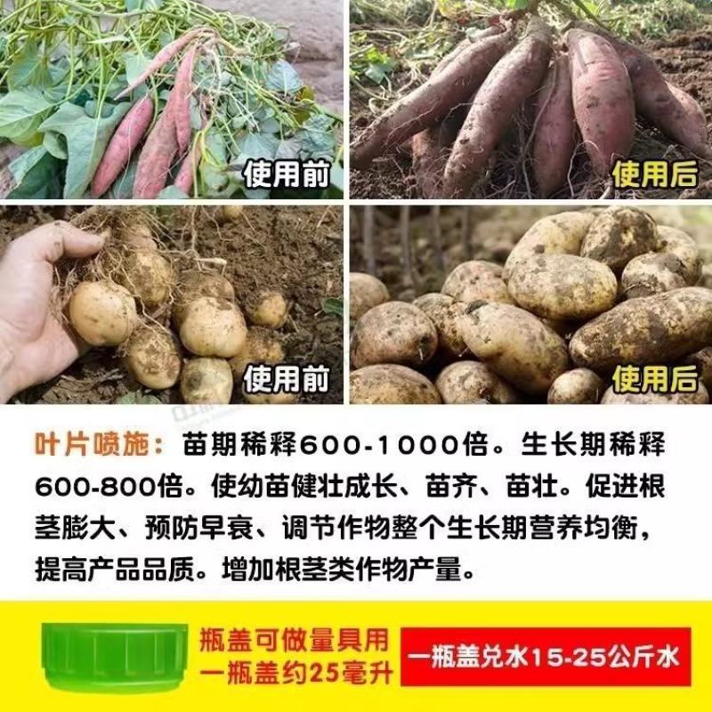 寿光珺颜地下根茎膨大素快速膨大茎秆粗壮山药马铃薯葱姜蒜等