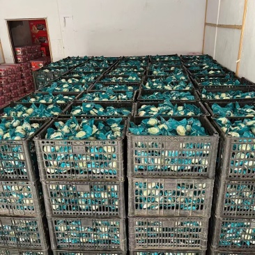 芝麻酱咸鸭蛋海鸭蛋货源充足量大从优欢迎咨询