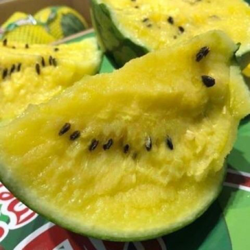 精品特小凤西瓜大量上市品质保证一手货源价格实惠
