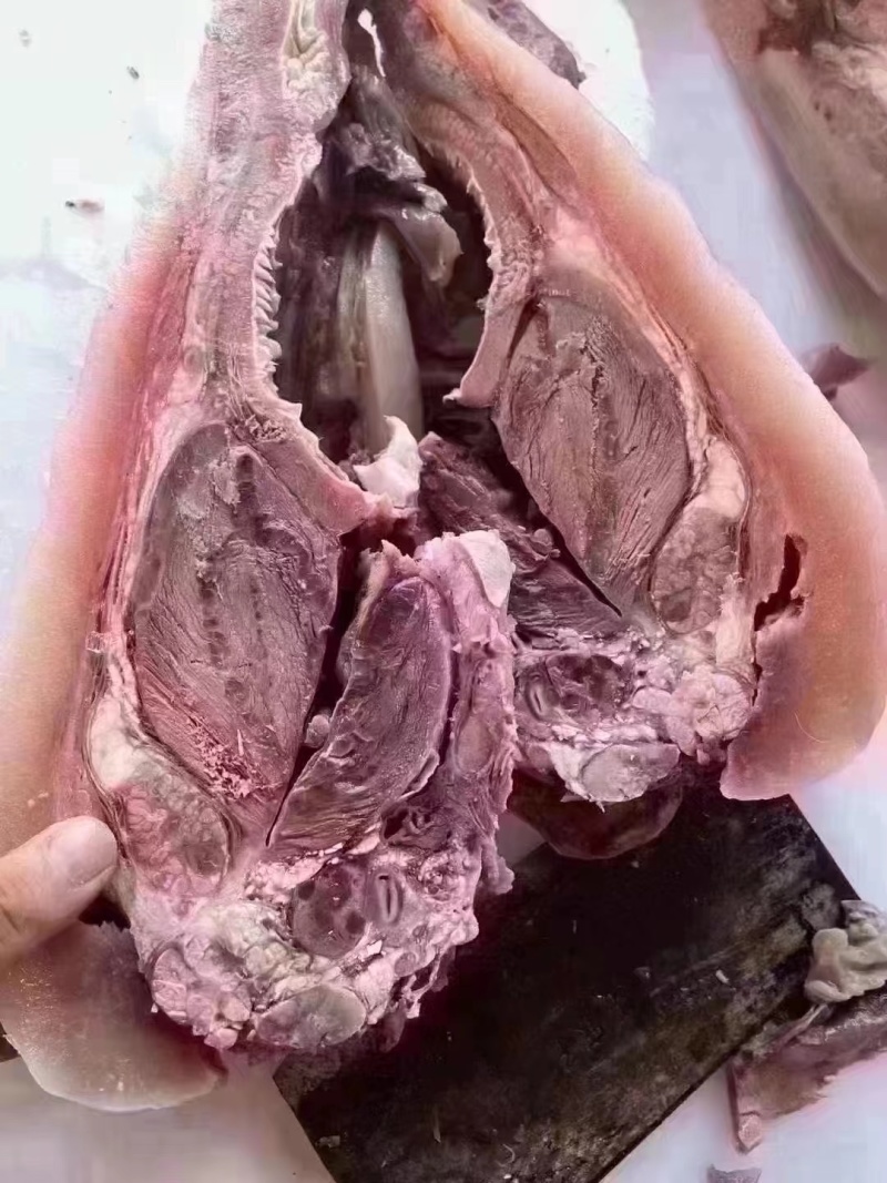 全熟牛头肉，牛脸肉