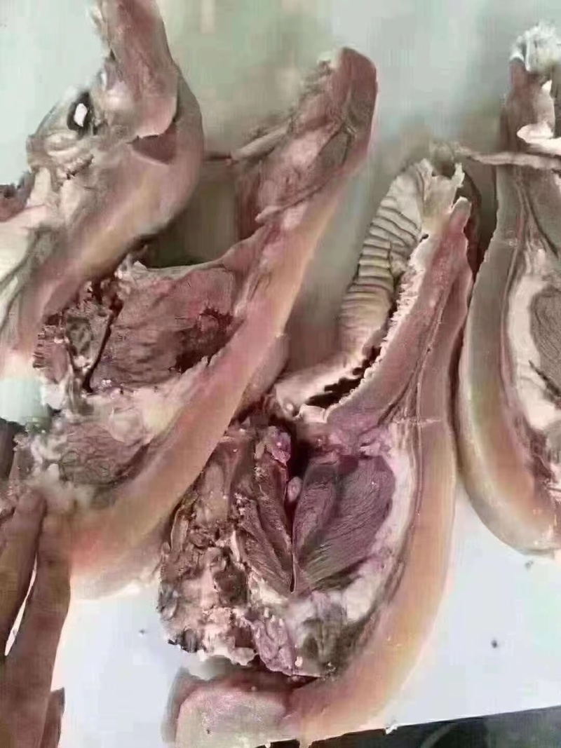 全熟牛头肉，牛脸肉
