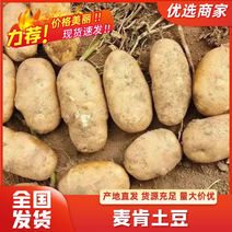 【湖北麦肯土豆】薯条专用对接加工厂产地直发