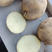 【湖北大西洋土豆】大西洋工厂直供薯片专用产地直发
