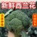 东台精品西蓝花，口感不错价格实惠欢迎联系