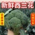 东台精品西蓝花，口感不错价格实惠欢迎联系