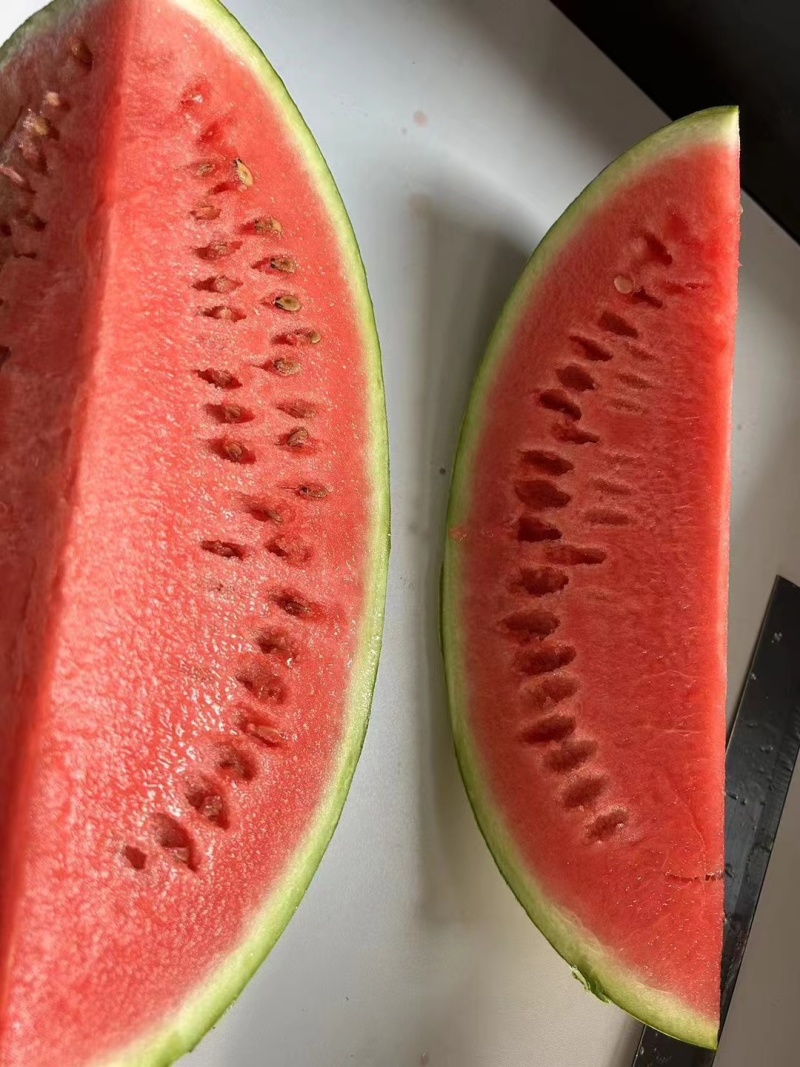 宁夏硒砂瓜，金城五号西瓜，甘甜解渴，大红瓤小薄皮