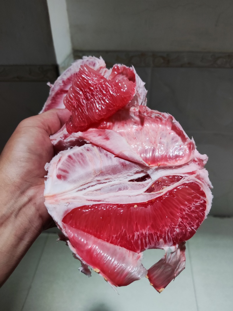 福建琯溪三红柚
