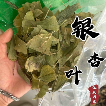 银杏叶保庆药业批发银杏叶颜色青发货如图