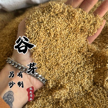 炒谷芽谷芽保庆药业炒谷芽生谷芽谷芽正品