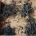 高黎贡山云雾茶自家茶园欢迎联系各品质都有价格可商量