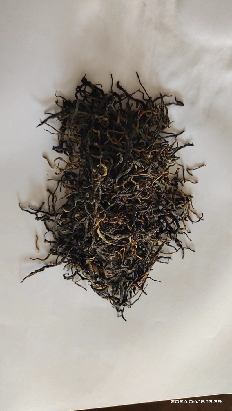 高黎贡山云雾茶自家茶园欢迎联系各品质都有价格可商量