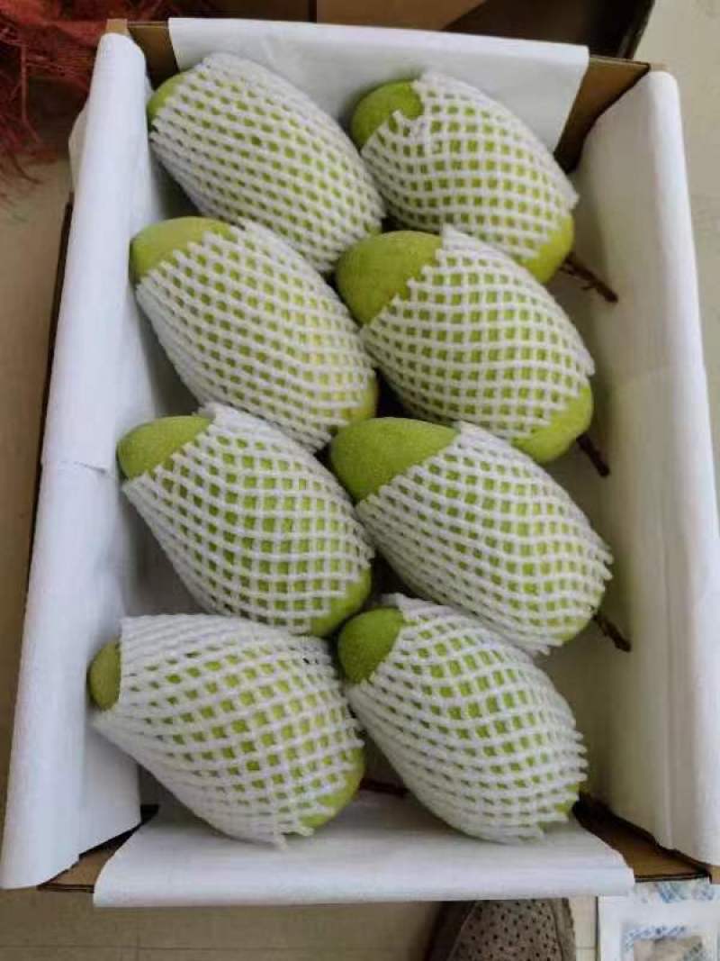 海南金煌芒一手货源供应市场商超诚信经营量大价优