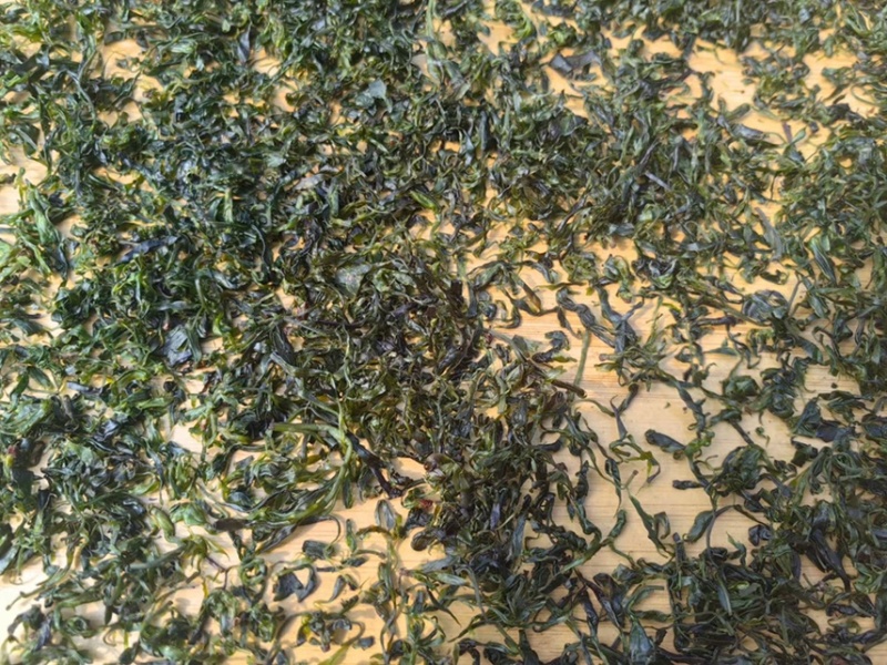 小叶苦丁茶