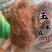 玉米须保庆药业批发玉米须实物无杂质玉米须