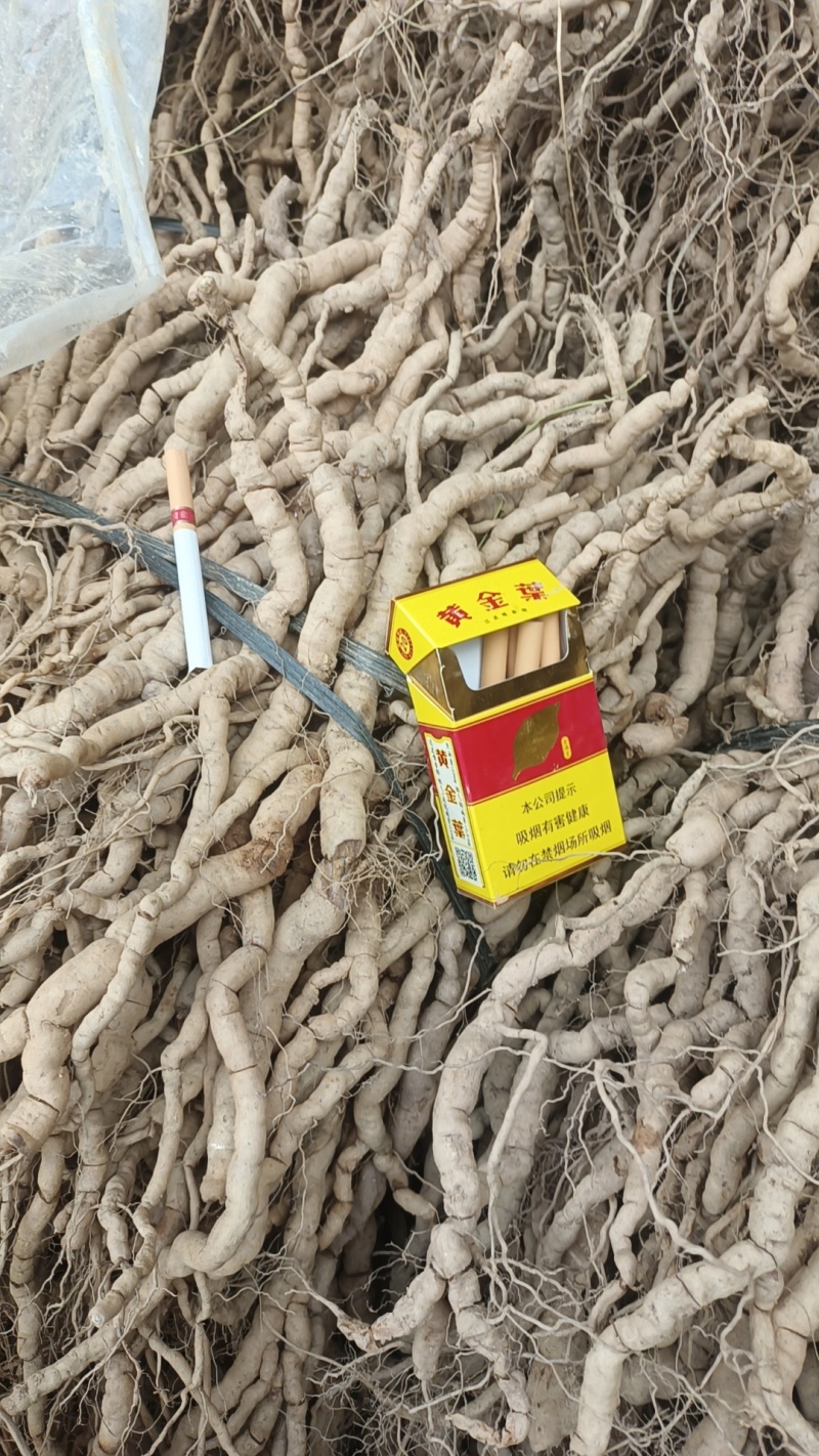 广西原产地直销巴㦸天
