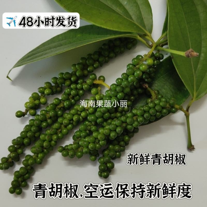 青胡椒/绿胡椒，胡椒青，空运锁鲜冰袋保鲜包邮。