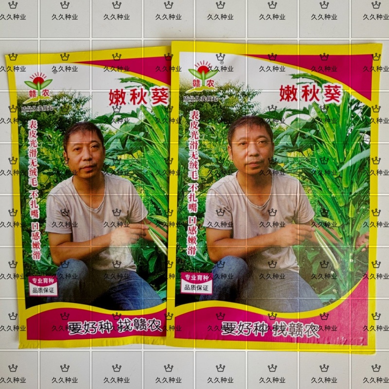 嫩秋葵种子四季播高产黄秋葵籽农家阳台庭院蔬菜种子