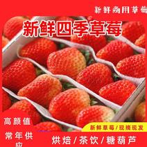 云南商用草莓，产地直供，常年不断货