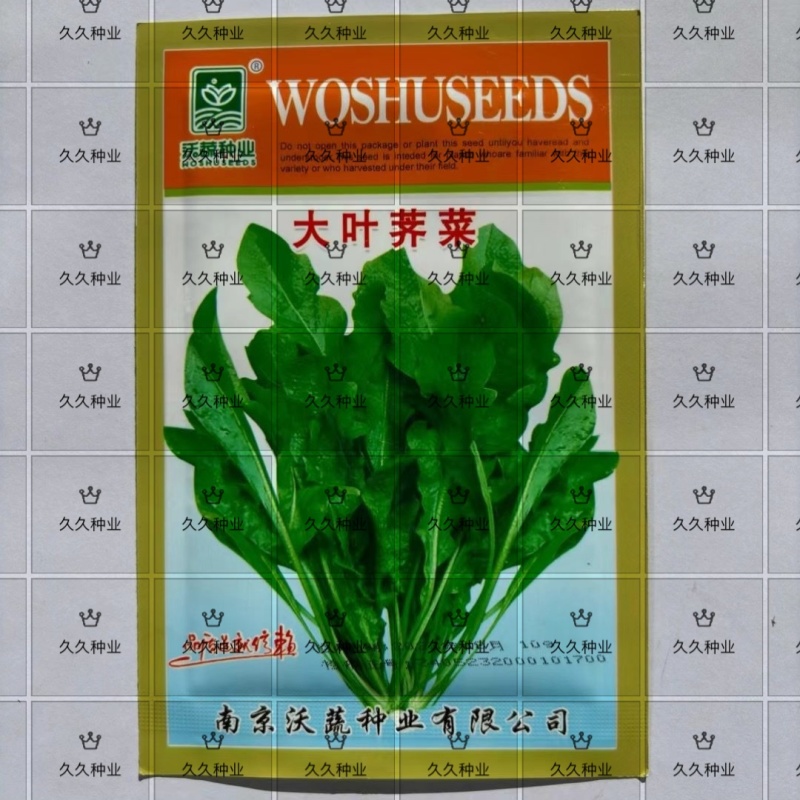 沃蔬大叶荠菜种子野生荠菜野菜地菜种籽蔬菜种子大田种子