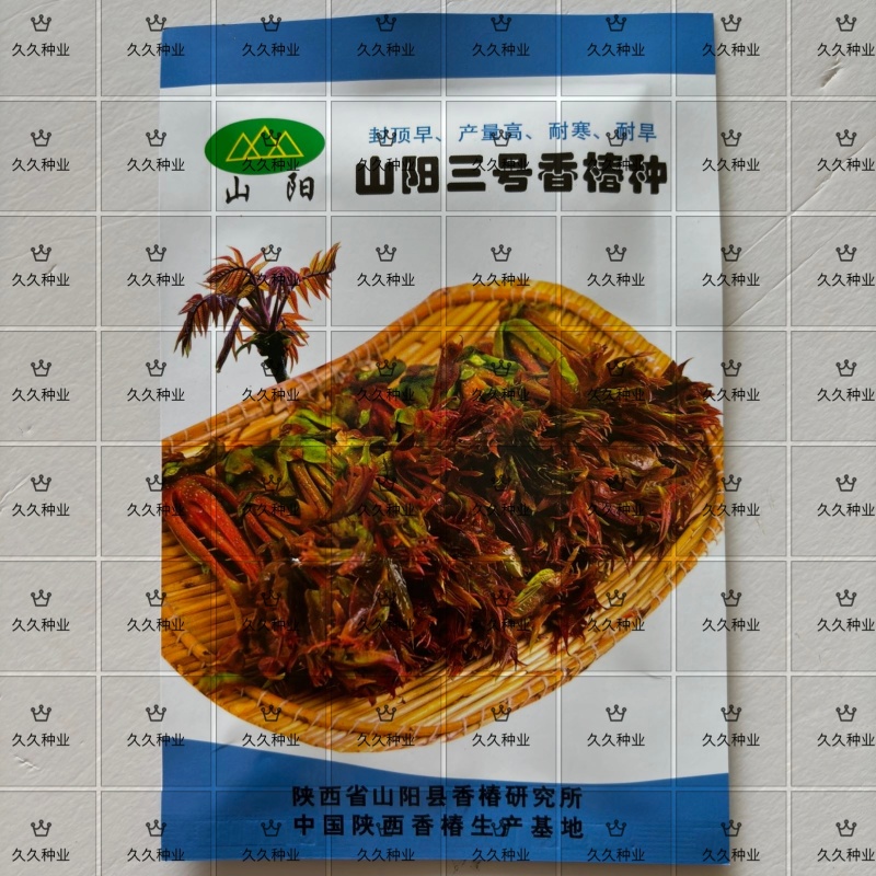 山阳三号香椿种子高产耐寒抗旱红油香铃子庭院阳台四季播蔬菜