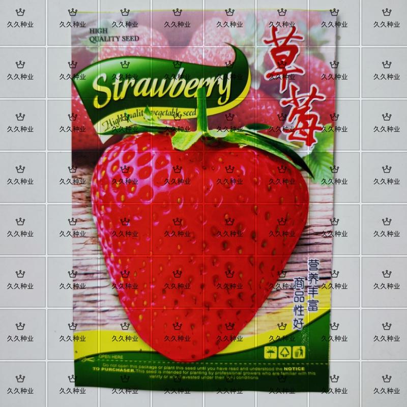草莓种子四季播种奶油草莓室内阳台盆栽家庭阳台蔬菜水果