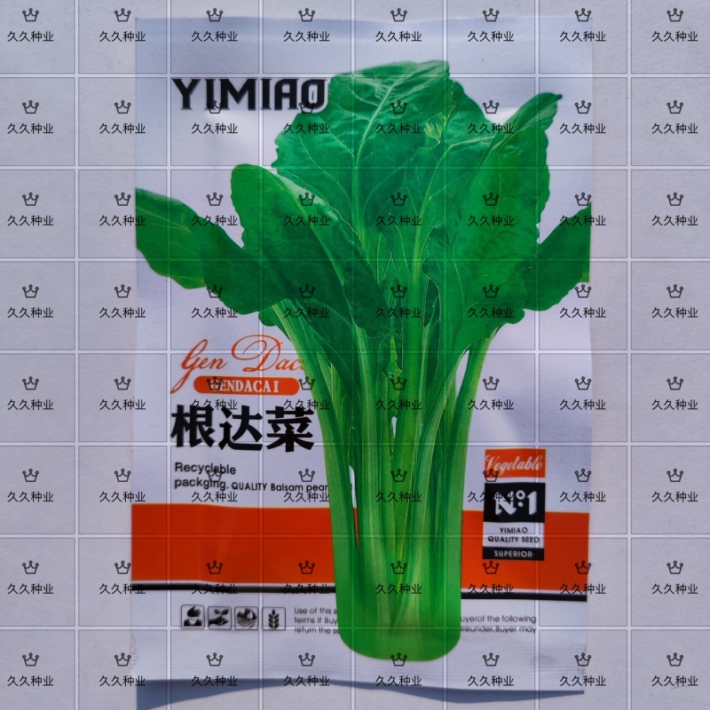 根达菜种子牛皮菜莙荙菜擗菜籽厚皮菜阳台盆栽小菜园露天蔬菜