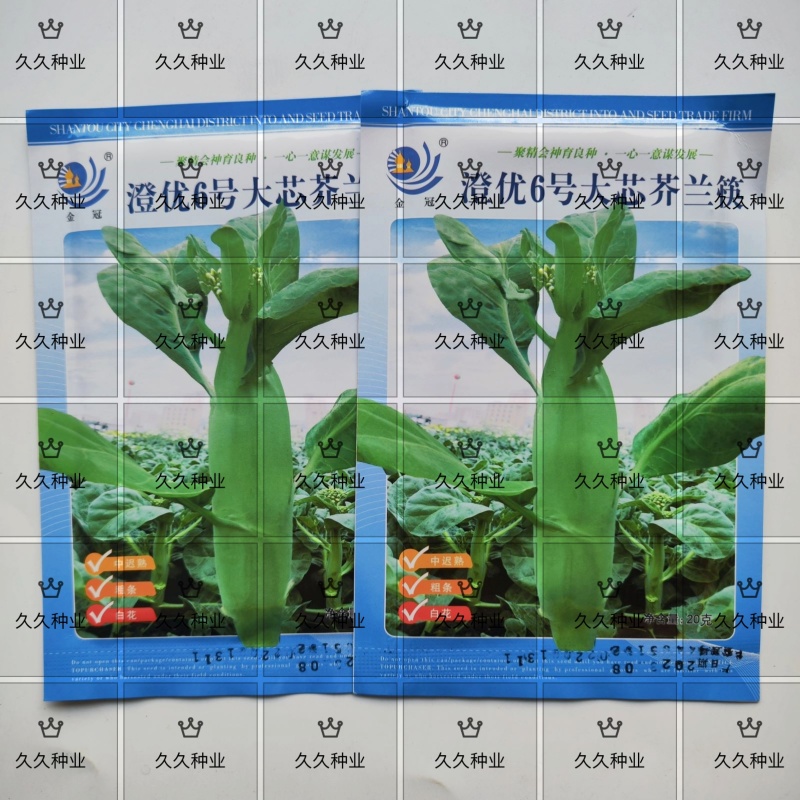 澄优6号大芯芥兰筷甜竹芥菜棒菜酸菜泡菜大叶四季种植蔬菜种