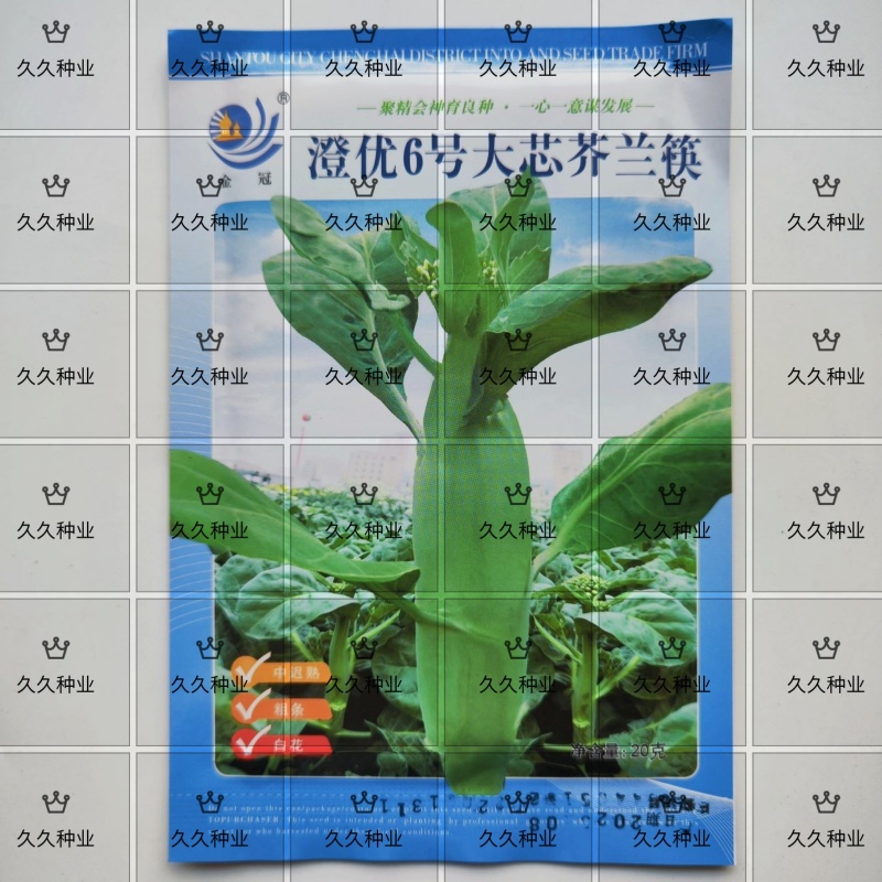 澄优6号大芯芥兰筷甜竹芥菜棒菜酸菜泡菜大叶四季种植蔬菜种
