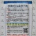 澄优6号大芯芥兰筷甜竹芥菜棒菜酸菜泡菜大叶四季种植蔬菜种