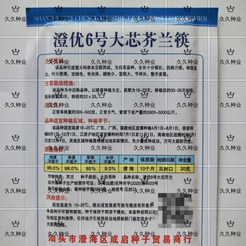 澄优6号大芯芥兰筷甜竹芥菜棒菜酸菜泡菜大叶四季种植蔬菜种