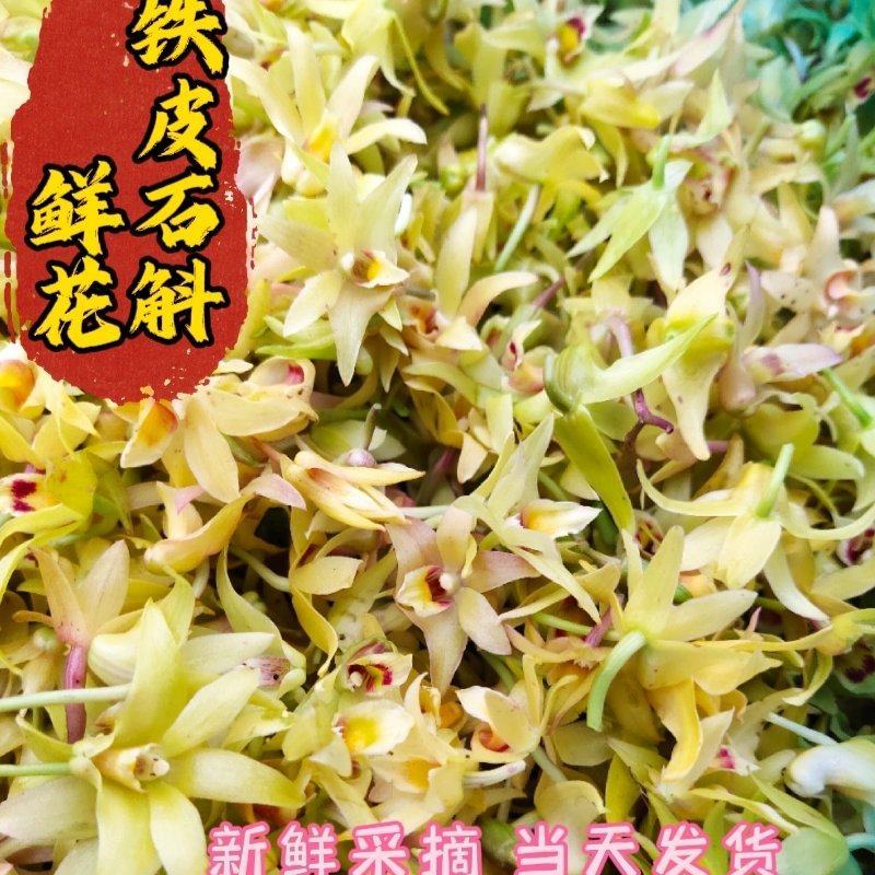 2024.4.19号雁荡山铁皮石斛鲜花正当季云南产地采摘