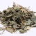 竹叶中药材批发竹叶质量保证量大从优