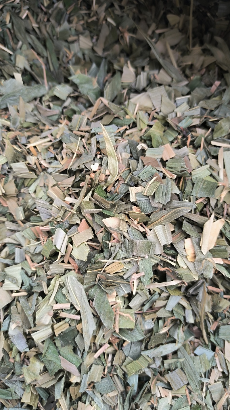 竹叶中药材批发竹叶质量保证量大从优
