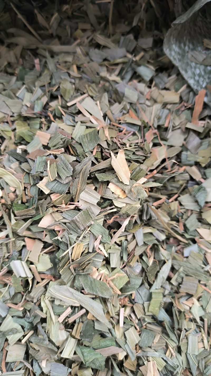 竹叶中药材批发竹叶质量保证量大从优
