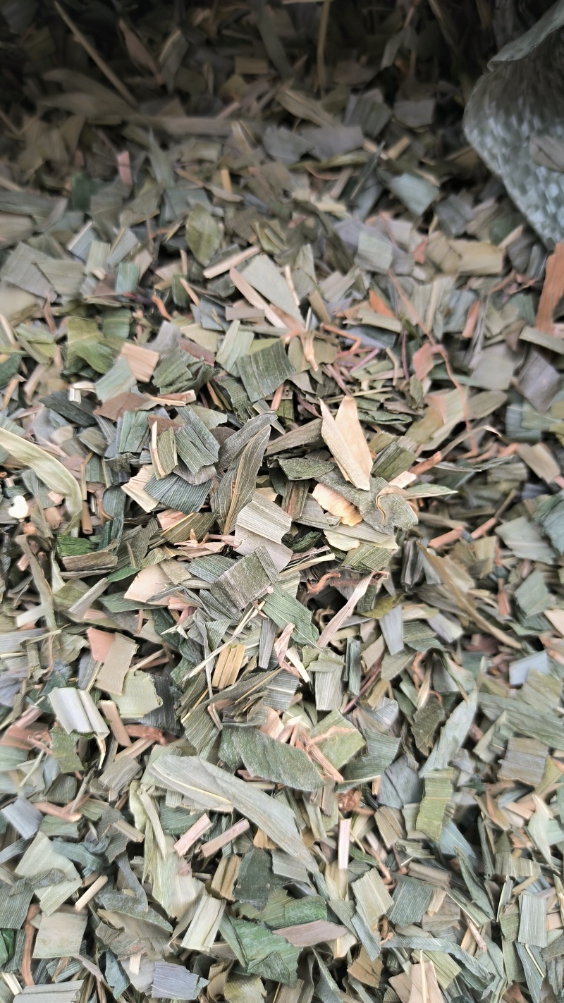 竹叶中药材批发竹叶质量保证量大从优
