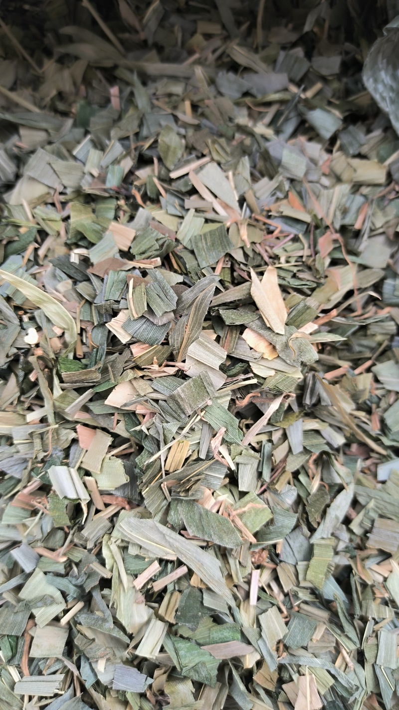竹叶中药材批发竹叶质量保证量大从优
