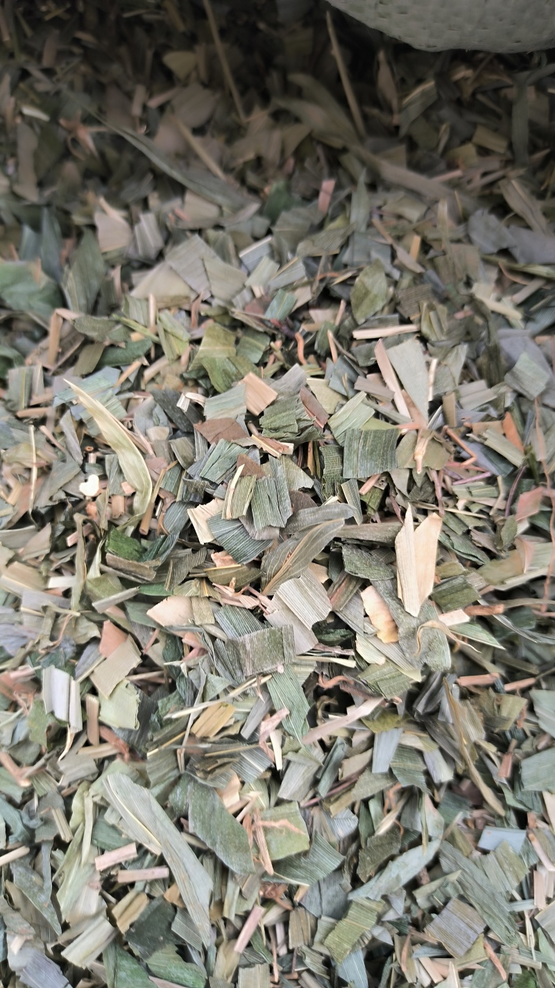 竹叶中药材批发竹叶质量保证量大从优