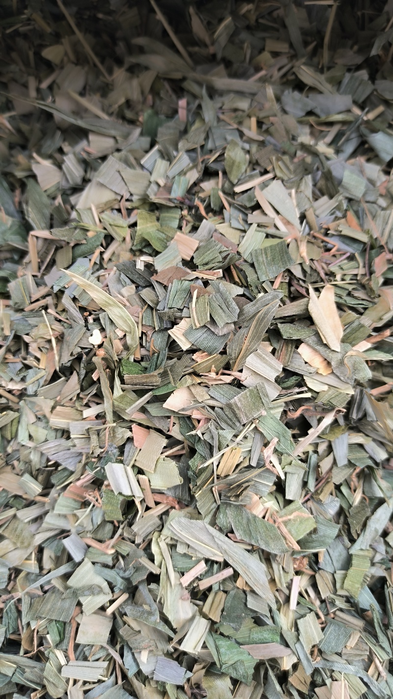 竹叶中药材批发竹叶质量保证量大从优