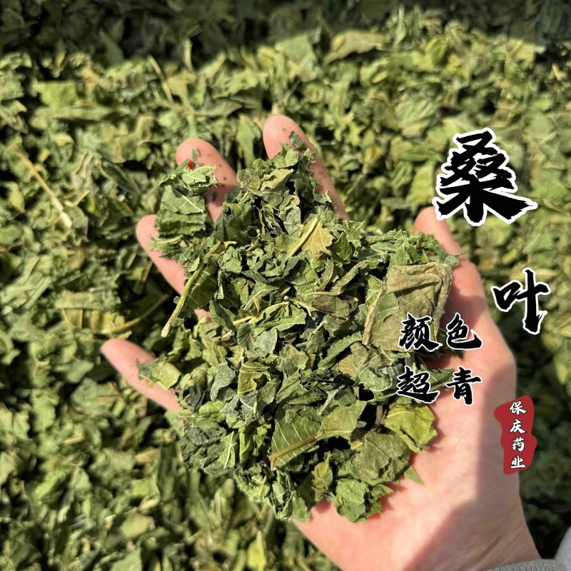 桑叶干桑叶霜桑叶实物拍摄颜色好的很发货如图